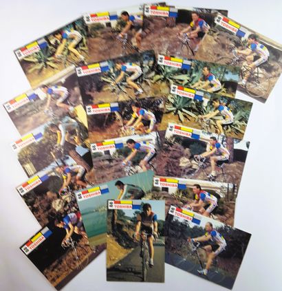 null FRANCE 1988 : 33 autographs

FRANCE - Team SYSTEME U 1988 - Set of 15 postcards...
