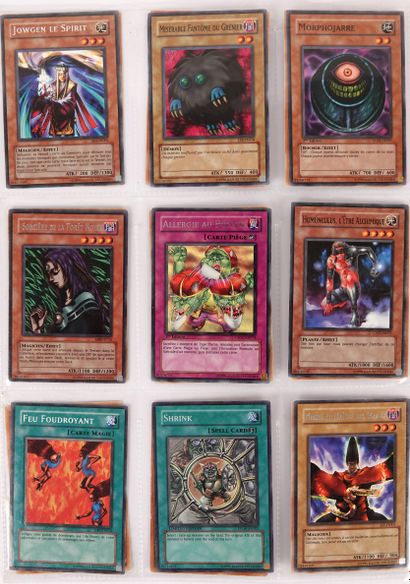 null YU GI OH

Classeur comprenant 180 cartes en très bon état, cartes communes et...