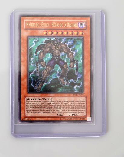 null MAITRE DE L’EFFROI HEROS DE LA DESTINEE

Carte Yu-Gi-Oh EOJ FR004 Ultimate

Carte...