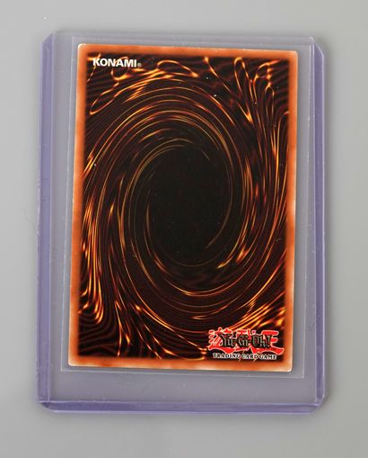 null TEMPETE HEROS ELEMENTAIRE 1ed

Carte Yu-Gi-Oh EEN FR034 Ultimate

Carte en très...