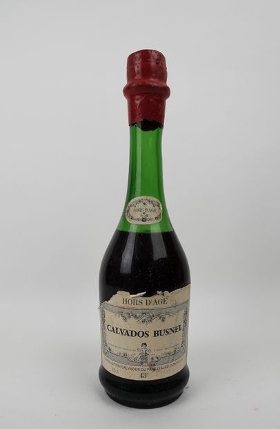 null 1 bottle 70cl CALVADOS BUSHNEL 'Hors d'age 

Damaged label.

Expert Ambroise...