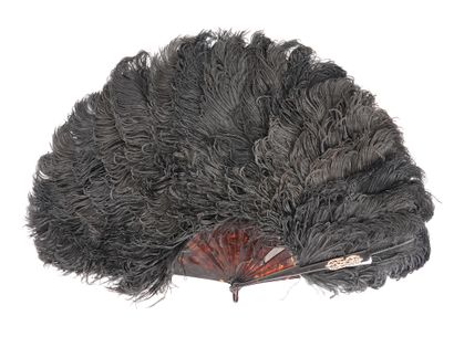 null A. Ahrweiler

Large fan

in ostrich feathers, in its original box

H 45 cm