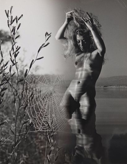 null Andre de Dienes (1913-1985)

Female Nude, circa 1960

Silver print 

Stamped...