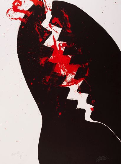 ARMAN (1928-2005)

Les Pinces noires

Lithographie...