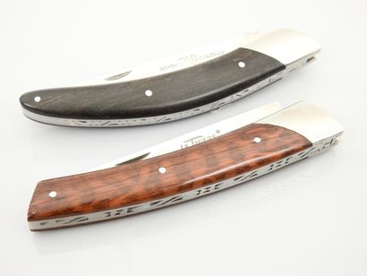 null Two folding knives "Goyon chazeau" and the thiers by "Chambriard". Good con...
