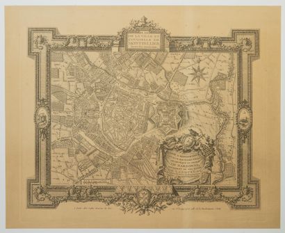 null 282 - HÉRAULT. Plan de la Ville et citadelle de Montpellier, avec ses environs....