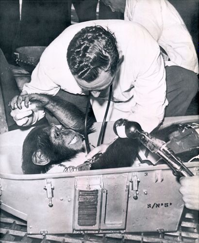 NASA Nasa. Cape Canaveral. Arrival of the chimpanzee "HAM" at Cape Canaveral in February...