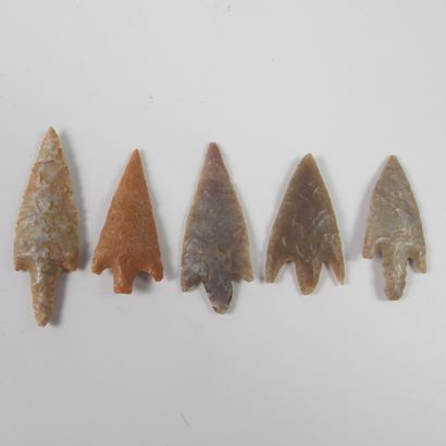 null Ten pedunculated arrowheads

Jasper and flint 45 to 30 mm

Neolithic Sahara