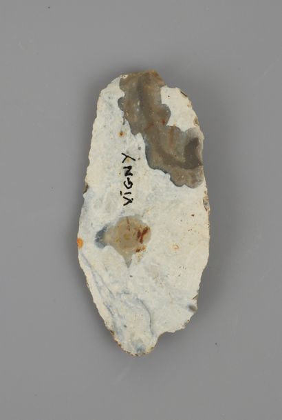 null Beautiful notched saw formerly used as an agricultural tool by the first prehistoric...