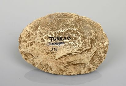 null Oval biface

Rock cacholongisé or limestone 12 cm

"Tursac Dordogne J.R.

Rolland...