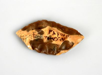 null Scraper with reserved edges

Flint " Fayoum " 5,5 cm