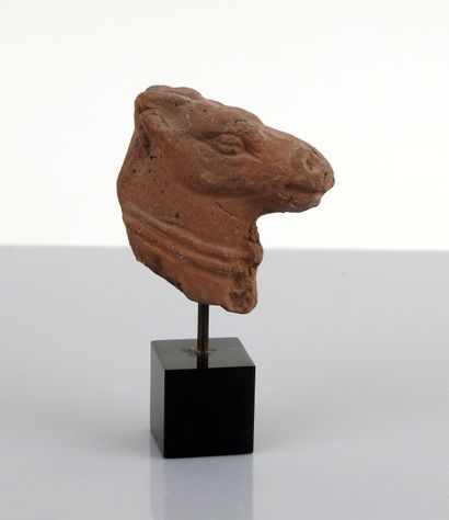null Protome of a horse

Terracotta 5 cm

Roman period