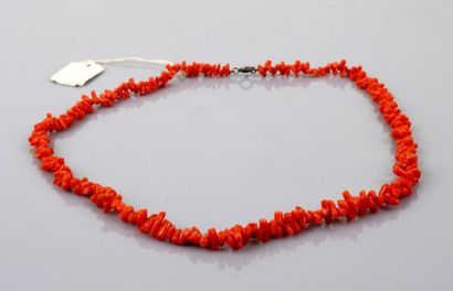 null Noble coral necklace

About 20 cm

North Africa, colonial period