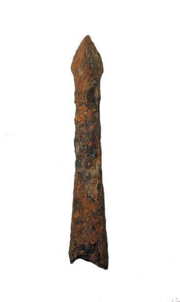 null Crossbow bolt

Iron 7,5 cm

13th-16th century