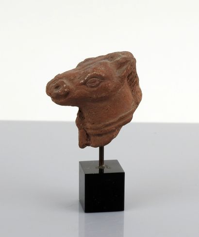 null Protome of a horse

Terracotta 5 cm

Roman period