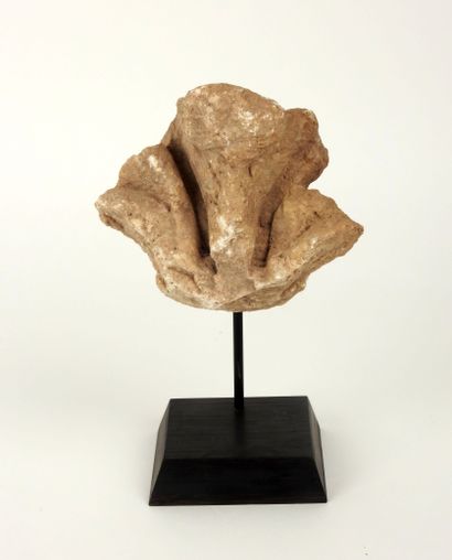 null Fragment sculpté d’une feuille d’acanthe

Calcaire 11 cm

Bassin méditerran...