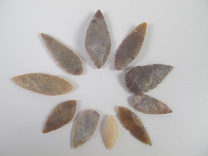 null Ten foliated arrowheads

Chalcedony and flint 53 to 27 mm

Neolithic Sahara