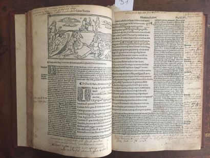 null OVIDE - P.Ovidii Nasonis metamorphosis libri cum pulcherrimis fabularum principalium...