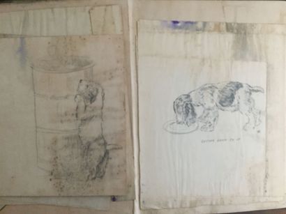 null BARKER (K.F.): Just Pups. Sketches in Pen Pencil. London, Country Life LTD,...
