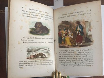 null NODIER (Ch.): Histoire du chien de Brisquet. Blanchard, 1854. Grand in-12 demi-maroquin...
