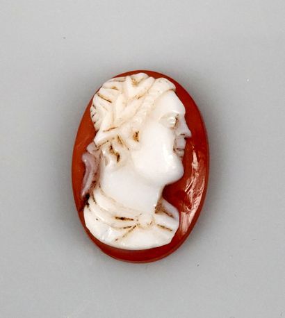 null Camée représentant un empereur romain

Cornaline ou Agate 2.1 cm