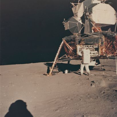 null NASA. APOLLO 11 mission. Historic photograph. Astronaut Buzz Aldrin retrieves...