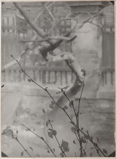 Josef SUDEK (1896-1976) 
Josef SUDEK (1896-1976)

View of my window, circa 1950.

Tirage...