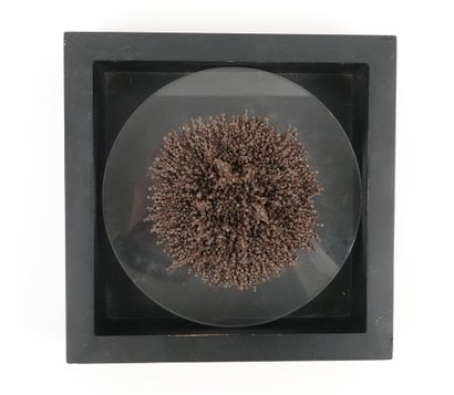 Vassiliakis TAKIS (1925-2019) Magnetic field, 1983
Magnet, plexiglass and steel filings
From...