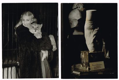 null DANSE – Lycette DARSONVAL (1912-1996) / Suite de 9 photographies en tirage argentique...
