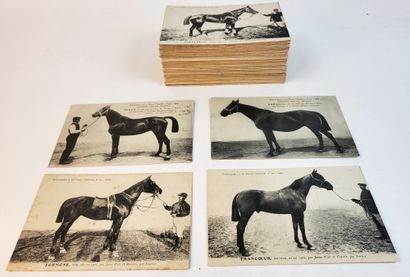null HIPPISM / Collection of 180 postcards (blank on the back), supplements to the...