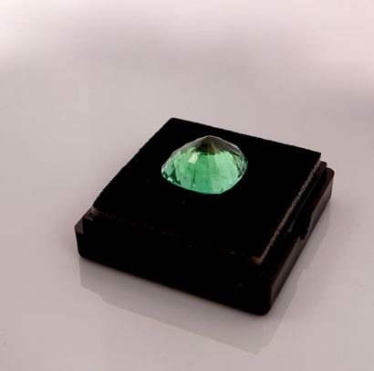 null 
Natural Paraiba tourmaline, isolated, translucent, cushion cut weighing 32.02...