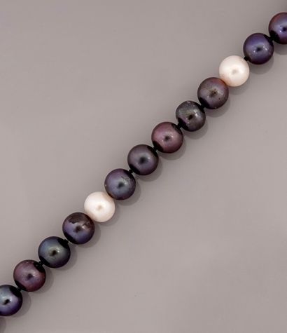 null Collier de perles de culture couleur gris intercalées de perles blanches, fermoir...