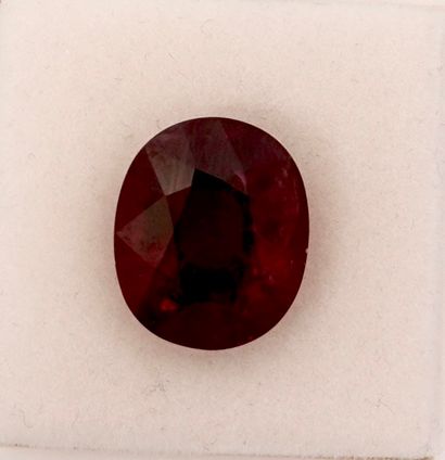 null 
Natural Rubellite tourmaline, translucent, oval weighing 15.27 carats, sold...