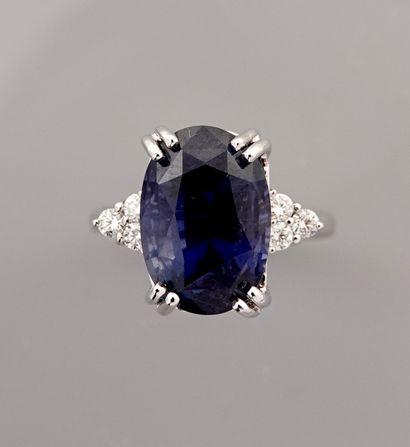 null 
Ring in white gold, 750 MM, set with an oval sapphire weighing 10.36 carats...