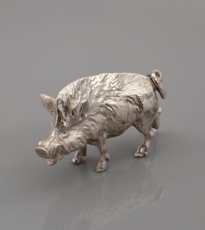 Wild boar, silver 925 MM, dimensions 7 x...