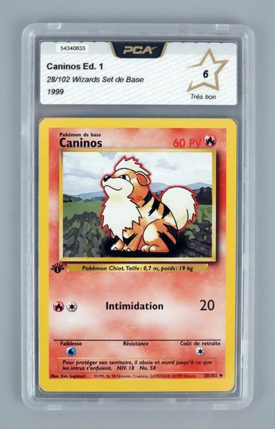 null CANINOS Ed 1
Wizards Block Basic Set 28/102
Pokémon Card PCA 6/10