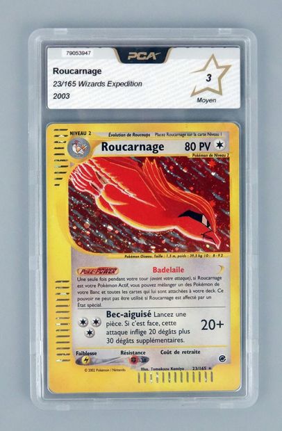null ROUCARNAGE
Bloc Wizards Expedition 23/165
Carte Pokémon PCA 3/10