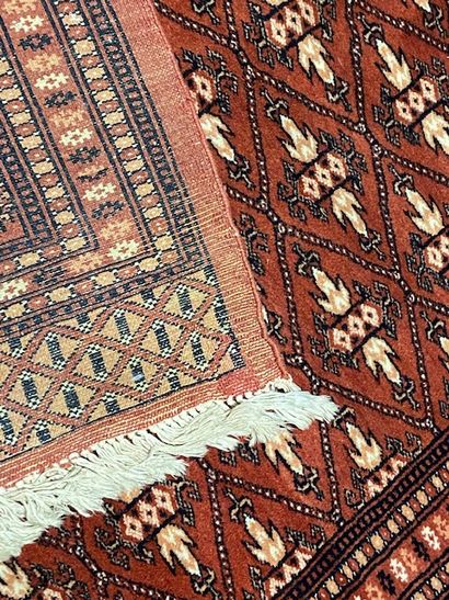 null Pakistani carpet, recent

Size : 192 x 128 cm