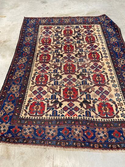 null Tapis Kurde (chaîne et trame en coton, velours en laine), Nord-ouest de la Perse,...