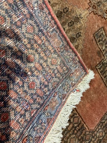 null Tapis Bidjar (chaîne et trame en coton, velours en laine), Nord-ouest de la...