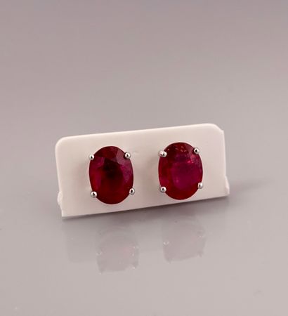 null Earrings in white gold, 750 MM, each adorned with a treated oval ruby, total...