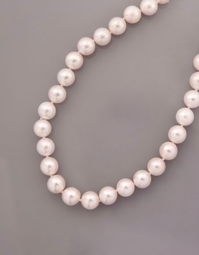 null Collier de perles de culture du Japon 7,5 x 8 mm, 750 MM, fermoir anneau à ressort...