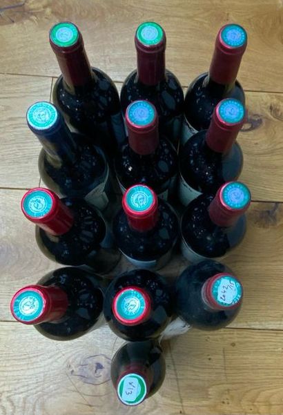 null ..12 bouteilles et 1 demi VINS DIVERS France Madiran, Bergerac et Irouleguy...