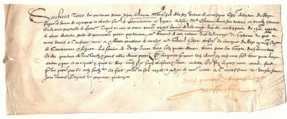 null ARIÈGE. AUDE. 1574. Jehan LEVYS (Jean de LEKVIS), Marshal of the Foy, Viscount...