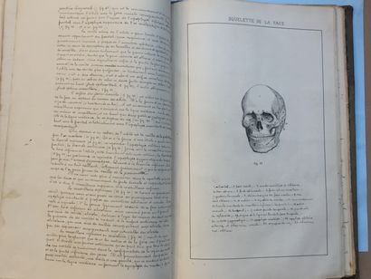 null ANATOMY - Course in Plastic Anatomy. Pau, 1885. In-4 grey cloth of the period....
