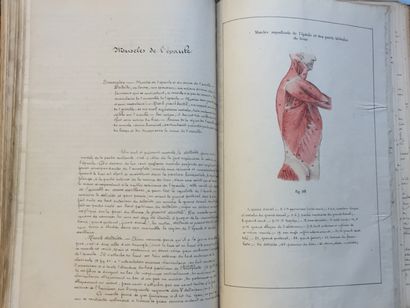 null ANATOMY - Course in Plastic Anatomy. Pau, 1885. In-4 grey cloth of the period....