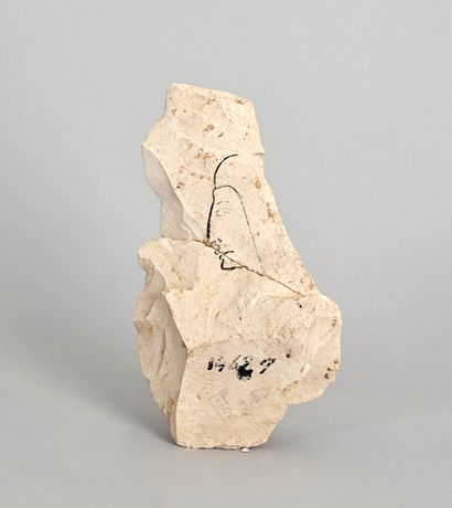 null Ostracon representing wrestlers, representation of a figure on the back
Inventory...