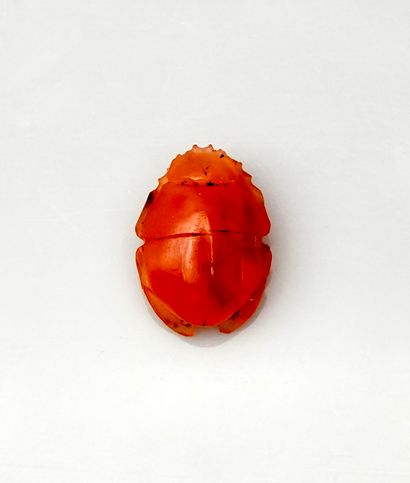 null Naturalist beetle
Agate
2.8 cm
Egypt Probably Late Period

Provenance : Collection...