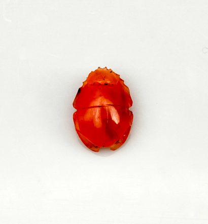 Naturalist beetle
Agate
2.8 cm
Egypt Probably...