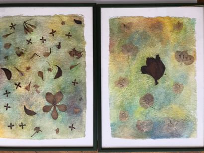 null Anonymous 
Set of five framed pieces 
Collages of flowers and leaves on watercolor...